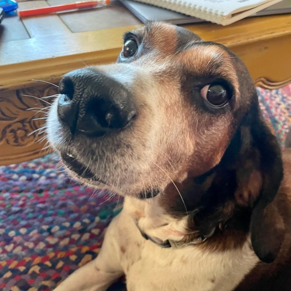pawlamarie